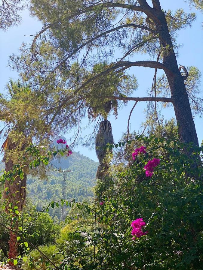 Hotel El Botanico De Sagra Esterno foto