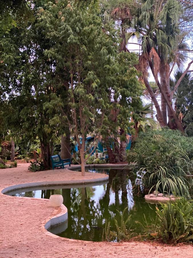 Hotel El Botanico De Sagra Esterno foto