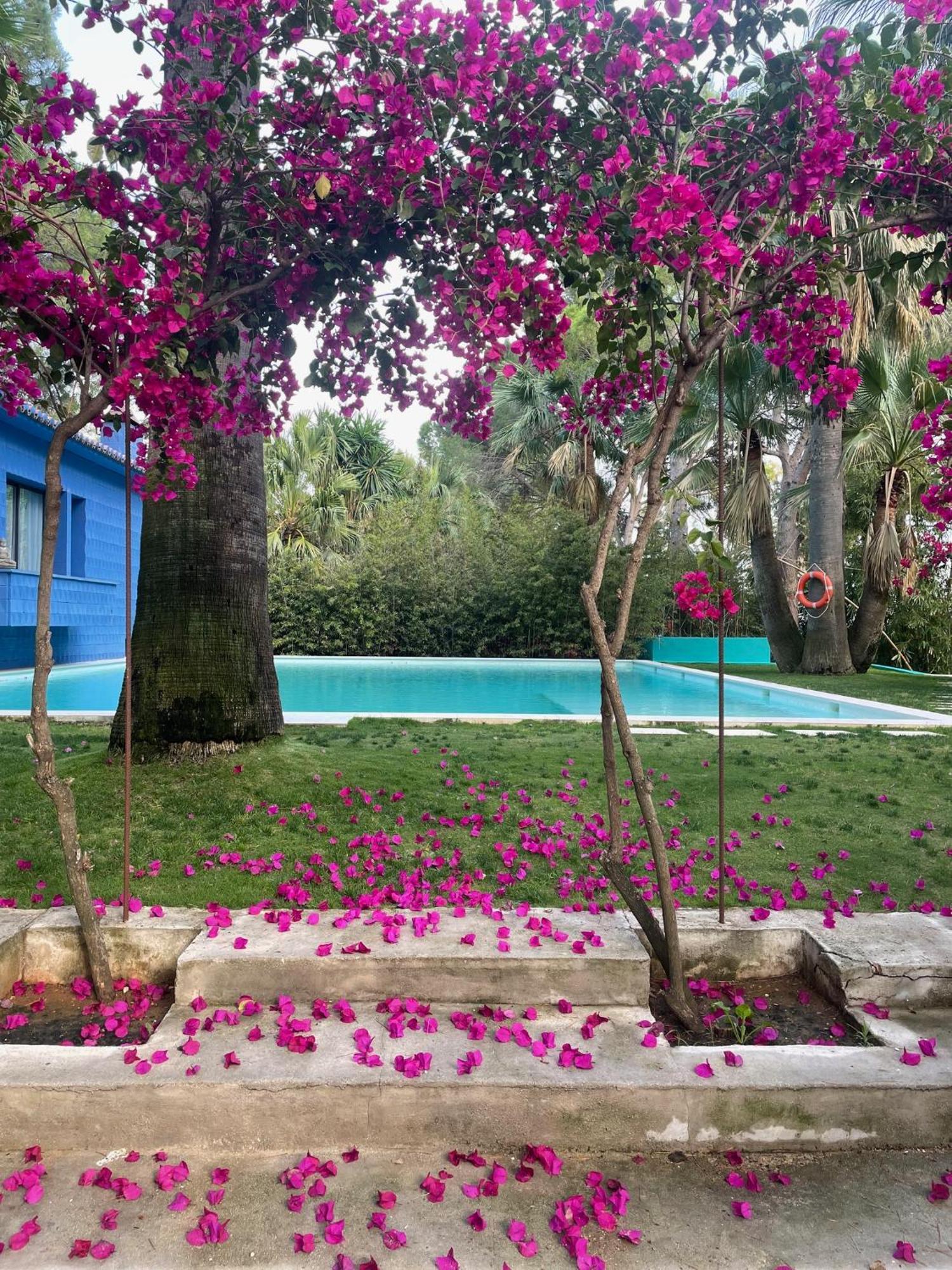 Hotel El Botanico De Sagra Esterno foto